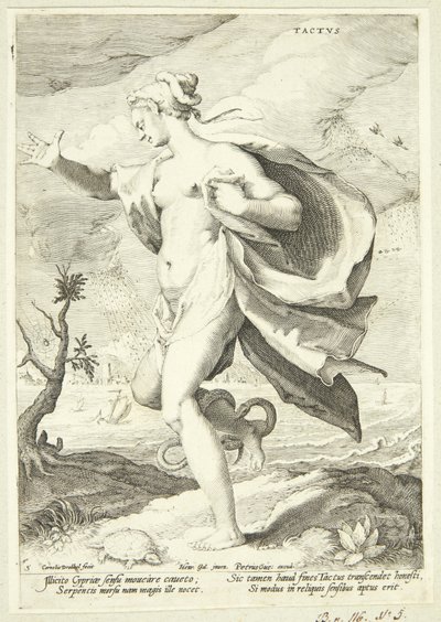 De tastzin door Cornelis Jacobsz Drebbel