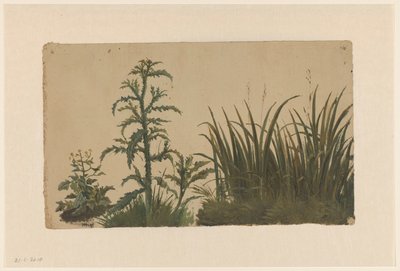 Distel en riet door Cornelis Johannes de Vogel