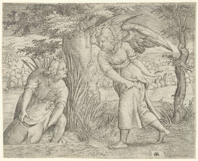 Tobias en de vis door Cornelis Massijs