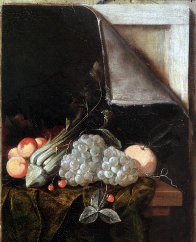 Stilleven in trompe l