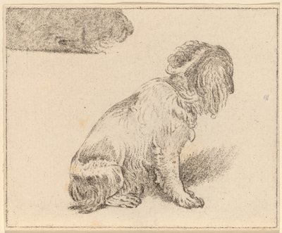 Zittende Hond door Cornelis Ploos van Amstel