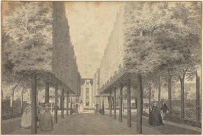  door Cornelis Pronk
