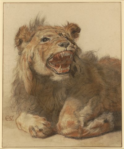 Een grommende leeuw, c.1625-33 door Cornelis Saftleven