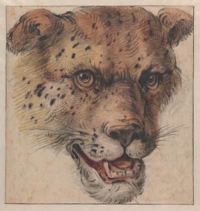  door Cornelis Saftleven