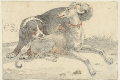 Hazewindhond en een patrijshond door Cornelis Saftleven