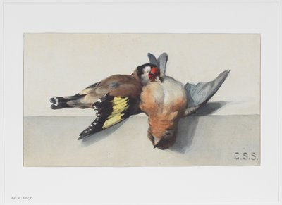 Stilleven met twee dode vogels door Cornelis Samuel Stortenbeker
