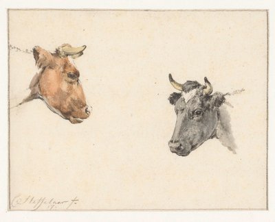Studieblad met twee koeienkoppen door Cornelis Steffelaar