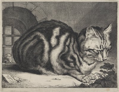 De grote kat door Cornelis Visscher (II)