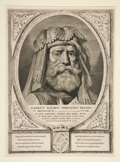 Albertvs Bavarvs Phrenetici Fratris en Provincies door Cornelis Visscher