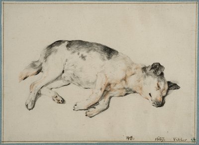  door Cornelis Visscher