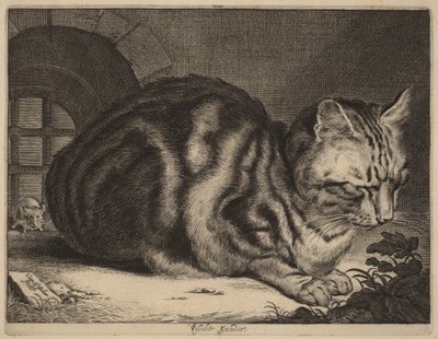 De grote kat door Cornelis Visscher