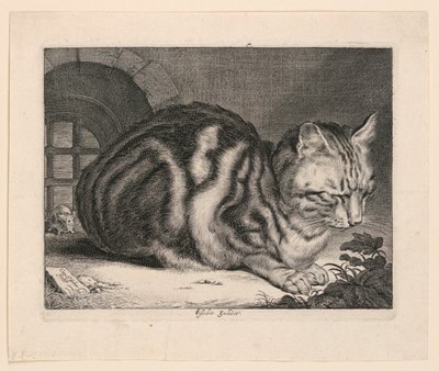De Grote Kat door Cornelis Visscher