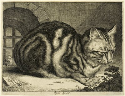 De Grote Kat door Cornelis Visscher