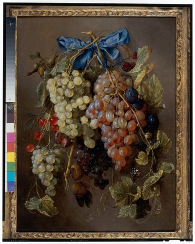 Stilleven van druiven, kersen en pruimen hangend aan een spijker met een blauw lint door Cornelis de Heem