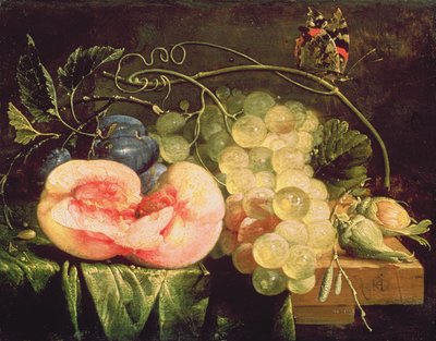 Stilleven met Fruit, 17e eeuw door Cornelis de Heem