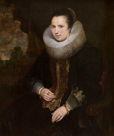  door Cornelis de Vos