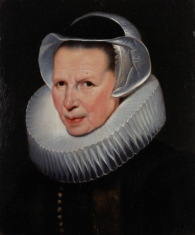 door Cornelis de Vos