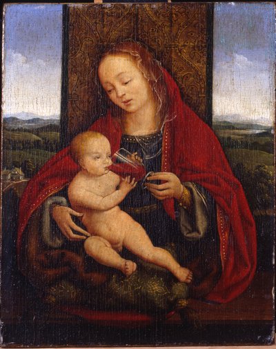 De Madonna en Kind op de troon door Cornelis van Cleve