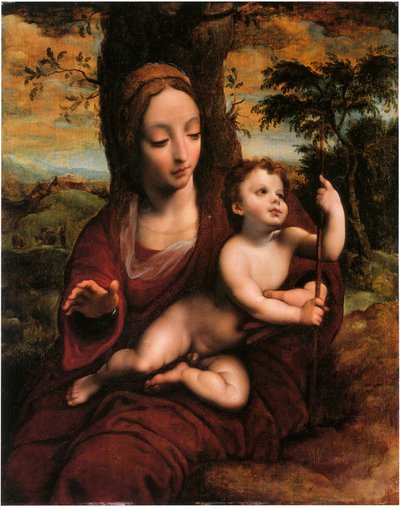 De Madonna en Kind in een landschap door Cornelis van Cleve