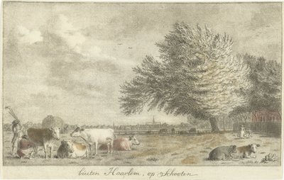 Koeien in een weiland buiten Haarlem, op Schooten door Cornelis van Noorde