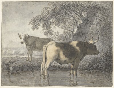 Twee koeien onder een boom aan het water door Cornelis van Noorde