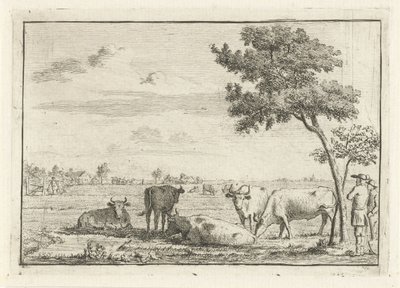 Vijf koeien in een weiland door Cornelis van Noorde
