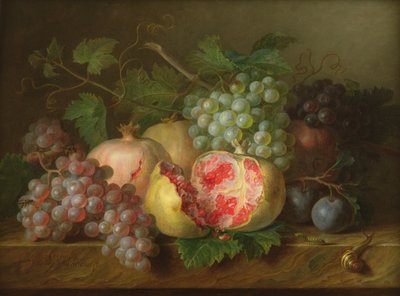 Stilleven van granaatappels, druiven en pruimen op een marmeren richel (paneel) door Cornelis van Spaendonck