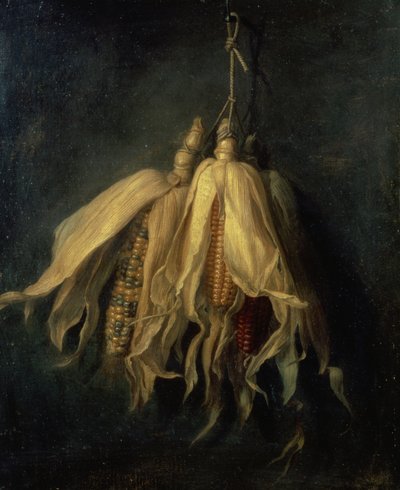 Drie maïskolven hangend aan een spijker door Cornelis van Spaendonck