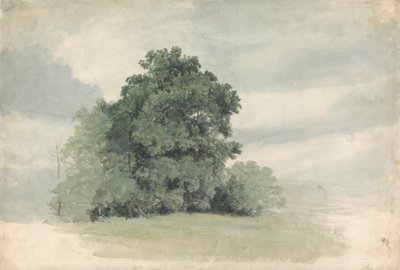 Studie van bomen aan de rand van een veld door Cornelius Varley