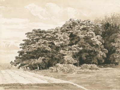 Wrottesley Hall - De Struikgewas: sepia tekening, 1820 door Cornelius Varley