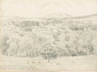 Wrottesley Hall - Uitzicht op de Malvern Hills door Cornelius Varley