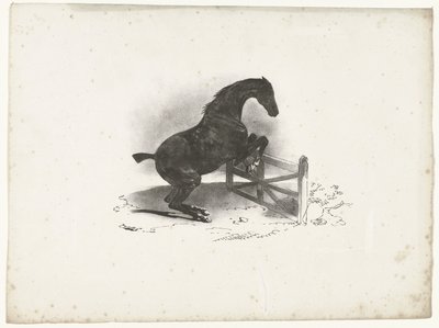 Paard springt over een hek door Courtin