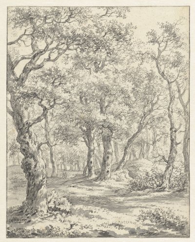 Boslandschap door Couwenhoven