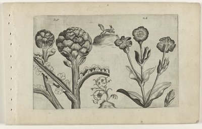 Artisjok en prikneus (Cognoscite lilia) door Crispijn van de Passe (I) (attributed to)