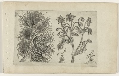 Grove den en bernagie door Crispijn van de Passe (I) (attributed to)