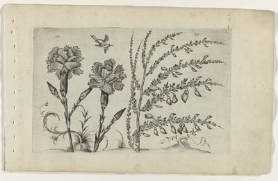 Tuinanjer en brem door Crispijn van de Passe (I) (attributed to)