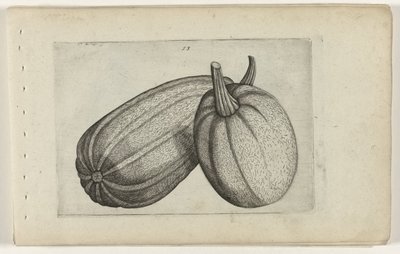 Twee meloenen door Crispijn van de Passe (I) (attributed to)