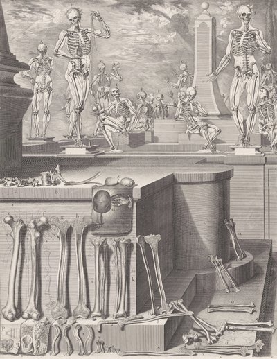 Plate voor de 