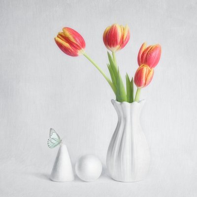 Lente Tulpen Vlinder door Cristiano Giani