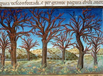 Het einde van de wereld: de bomen zullen met bloed bedekt zijn door Cristoforo De Predis