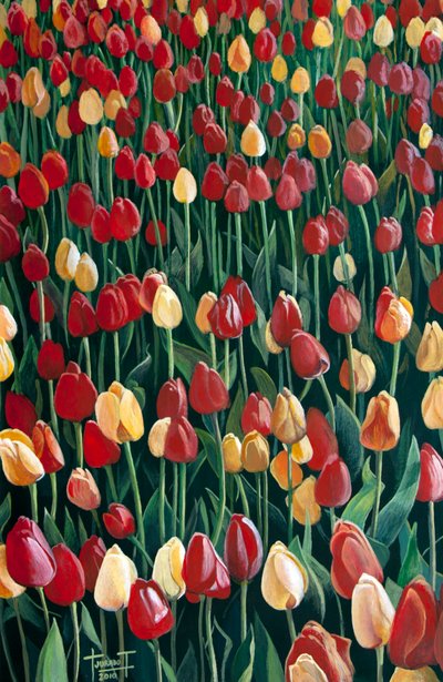 Tulpen door Cruz Jurado Traverso