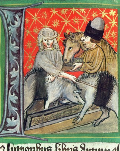 Fokvarkens en paarden, uit Opus Ruralium Commodorum door Czech School