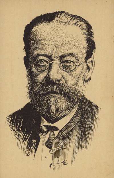 Portret van Bedrich Smetana door Czech School