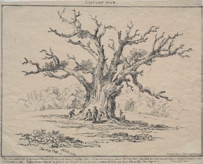 Fairlop Oak door D. H. Redman