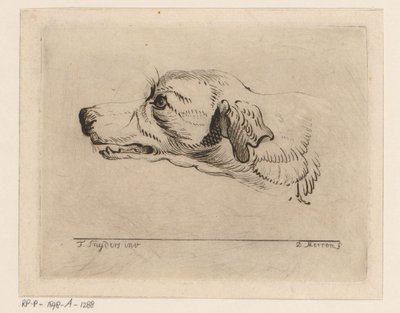 Kop van een hond door D. Merrem