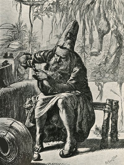 De Derwisj Plukt de Haren van de Staart van de Kat, 1906 door Dalziel Brothers