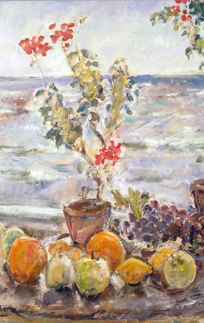 Geraniums en fruit, Robin Hood