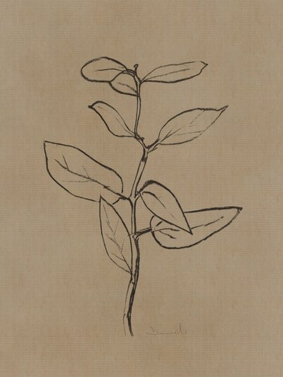 Eucalyptusjongeboom door Dan Hobday