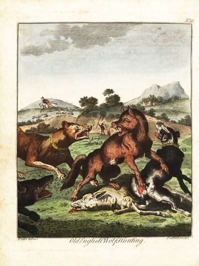 Oude Engelse wolvenjacht. 1792 (gravure) door Daniel (after) Dodd