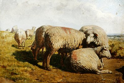 Een Groep Schapen door Daniel Alexander Williamson
